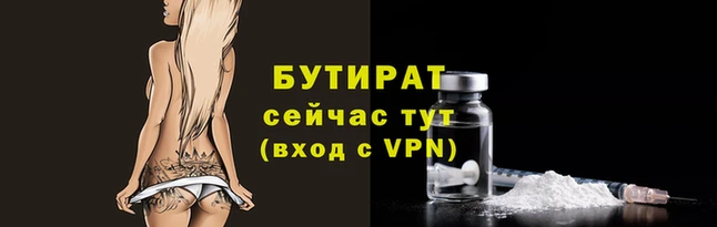 твердый Бородино