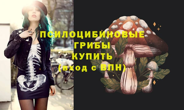 spice Бугульма